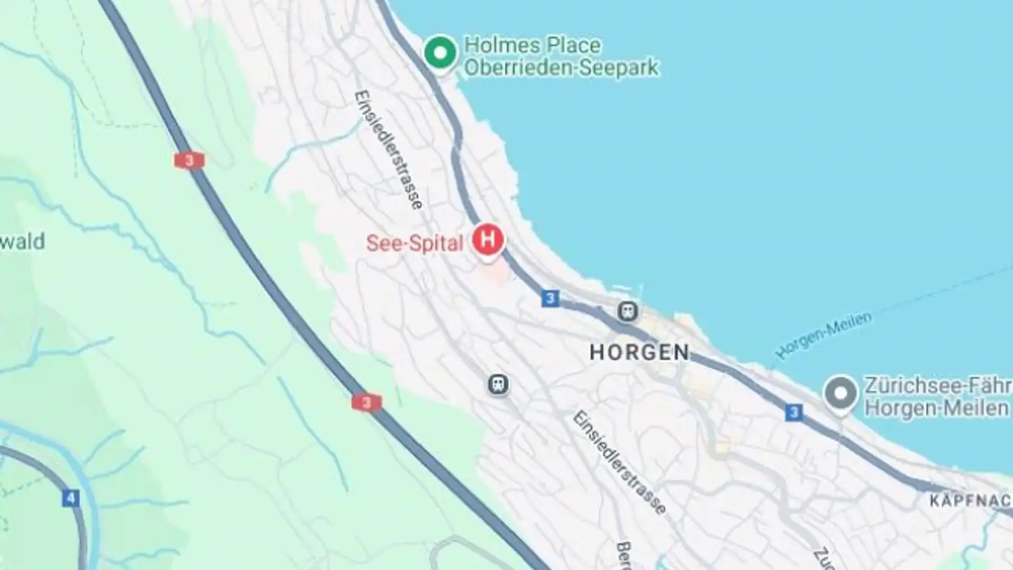 Appartement à vendre - 8810 Horgen