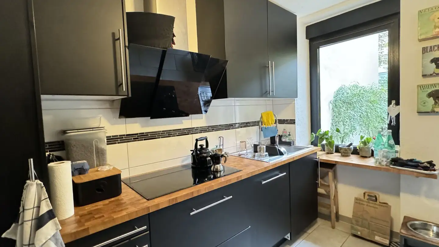 Maison en terrasse à louer - 4055 Basel