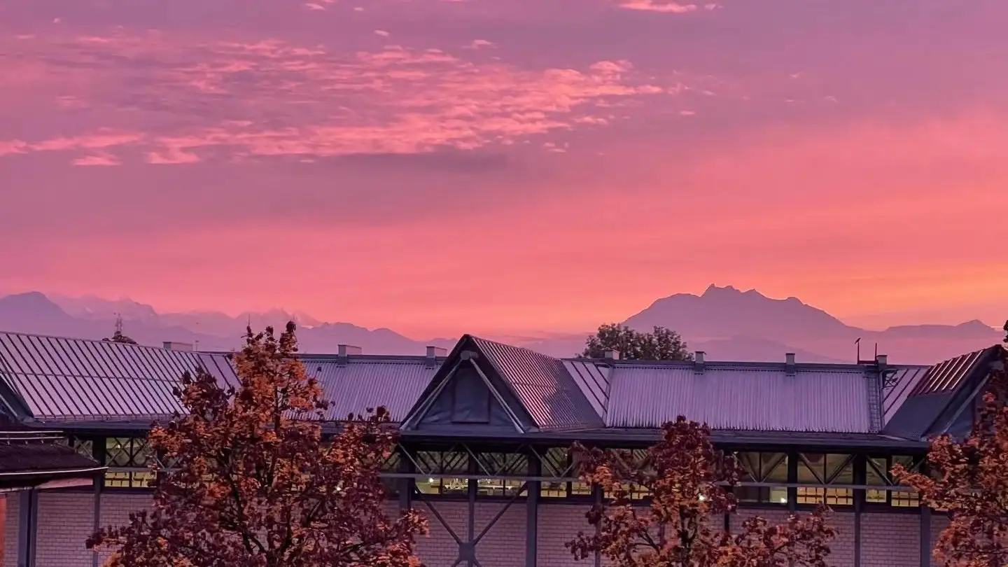 Apartment for rent - 6340 Baar - Photo 2