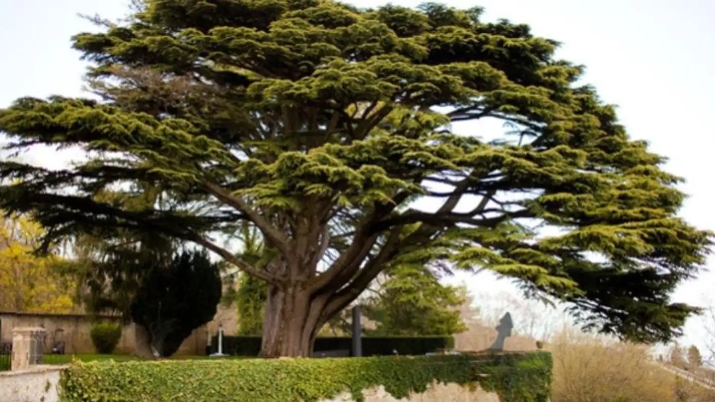 Bürofläche mieten - 2028 Vaumarcus - Foto 4