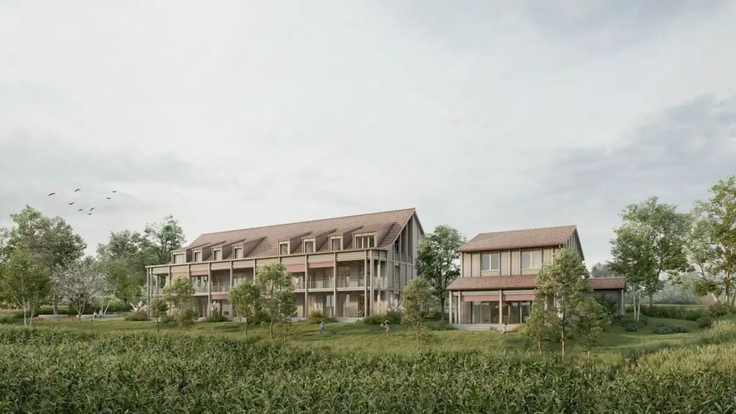 Maison individuelle à vendre - Hauptstrasse, 9556 Zezikon