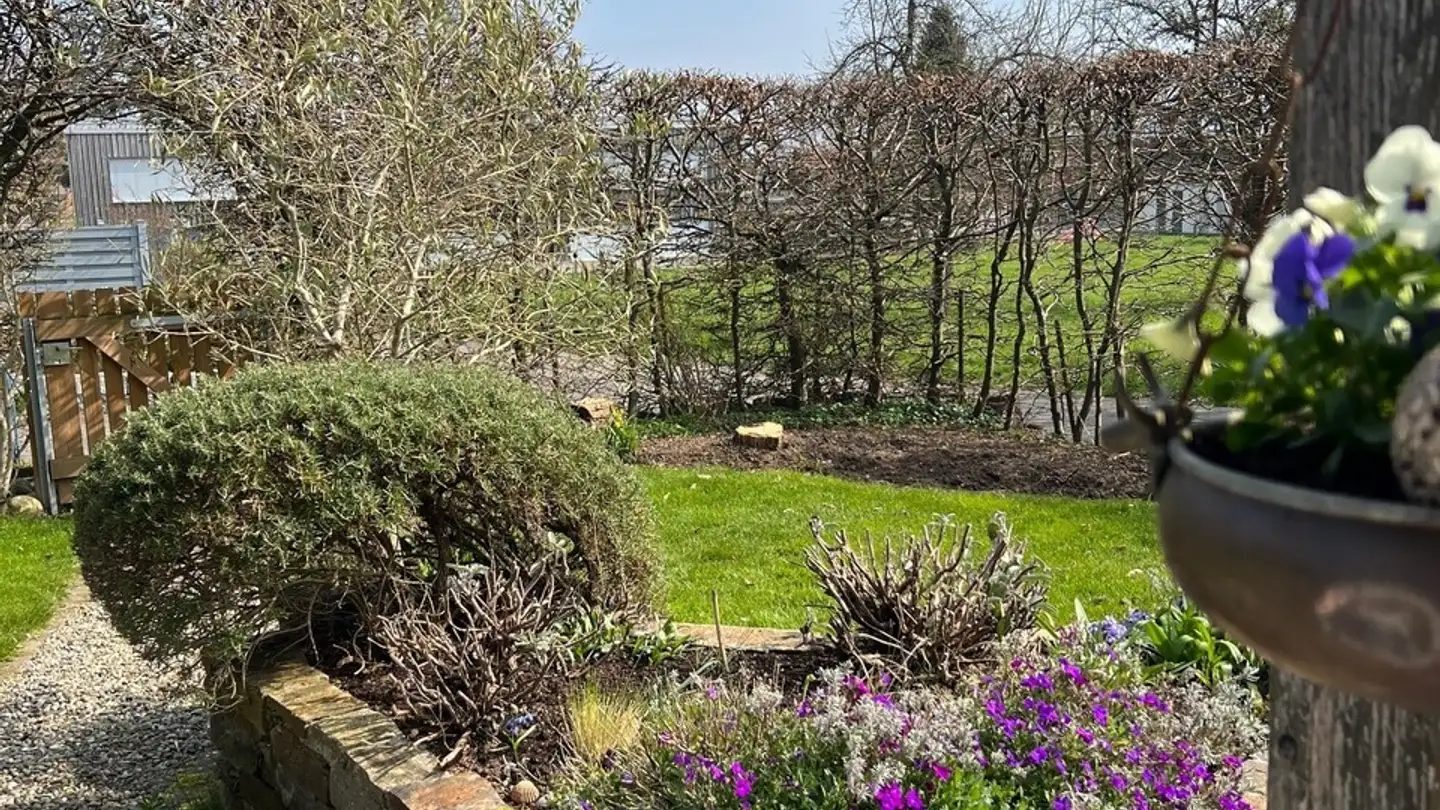 Maison troglodyte à vendre - Breitenstrasse, 5242 Lupfig