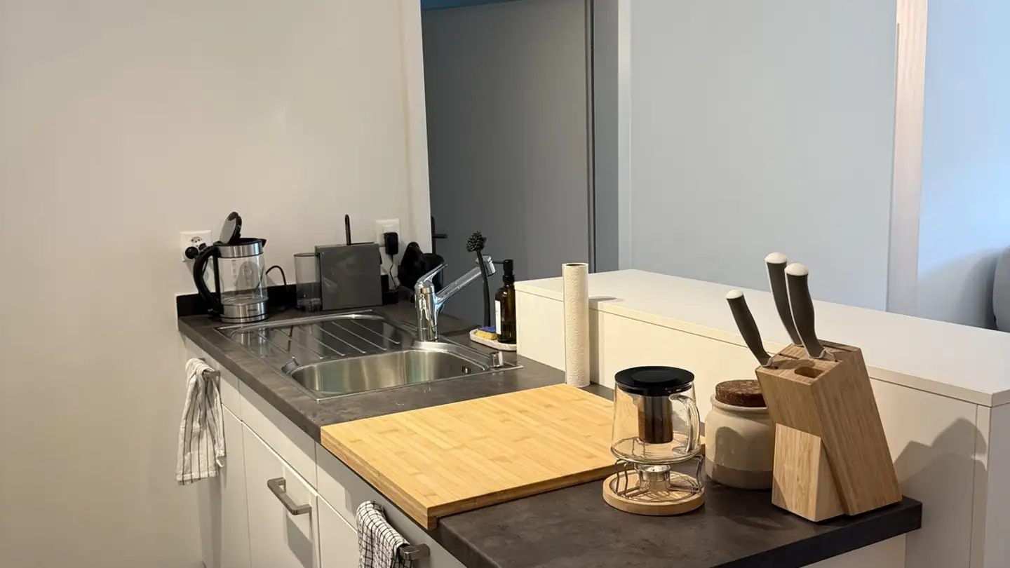 Appartement meublé à louer - Altwiesenstrasse 346, 8051 Zürich - Photo 4
