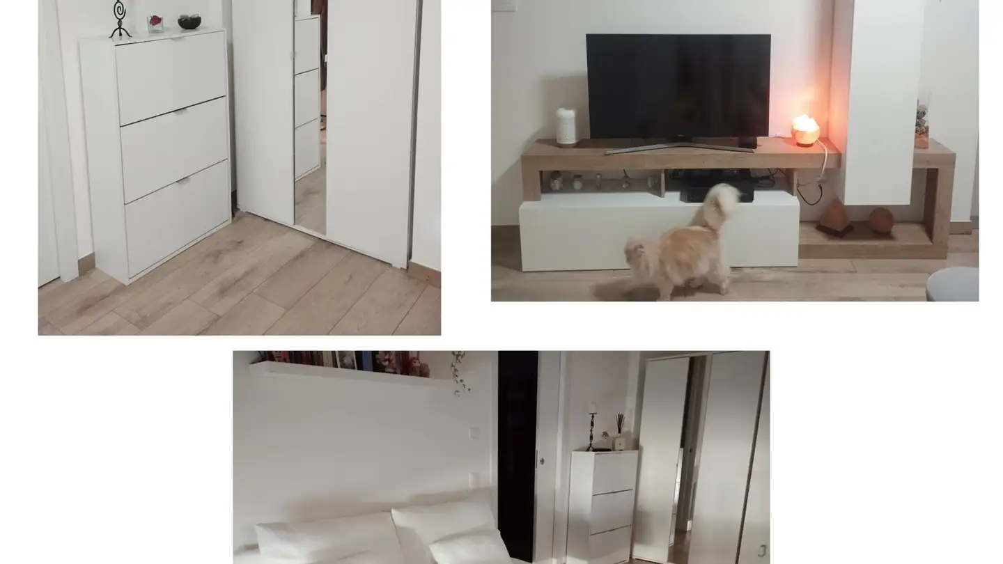 Wohnung mieten - 6850 Mendrisio - Foto 3