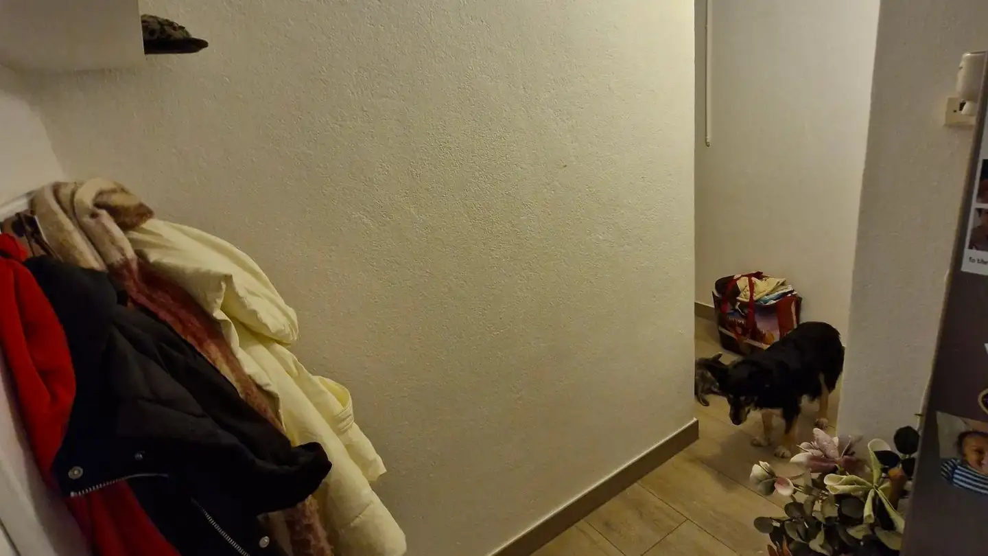 Wohnung mieten - 1483 Montet (Broye)