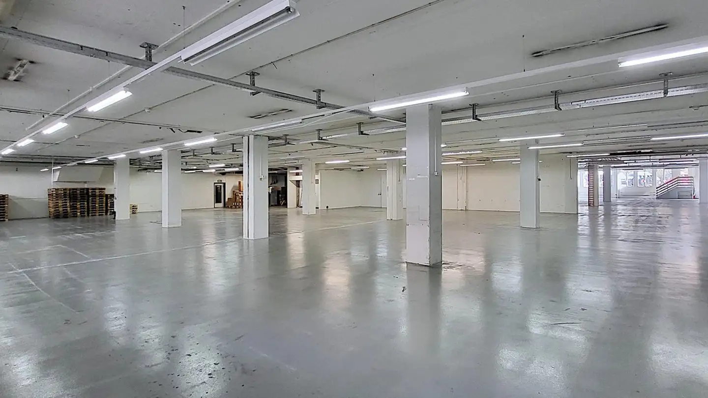 Commerciale in affitto - Gewerbestrasse 16, 8132 Egg b. Zürich - Photo 4