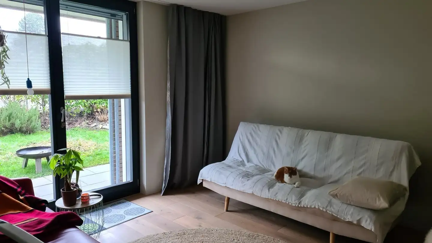 Single room for rent - Dorfstrasse 90, 8620 Wetzikon ZH - Photo 3
