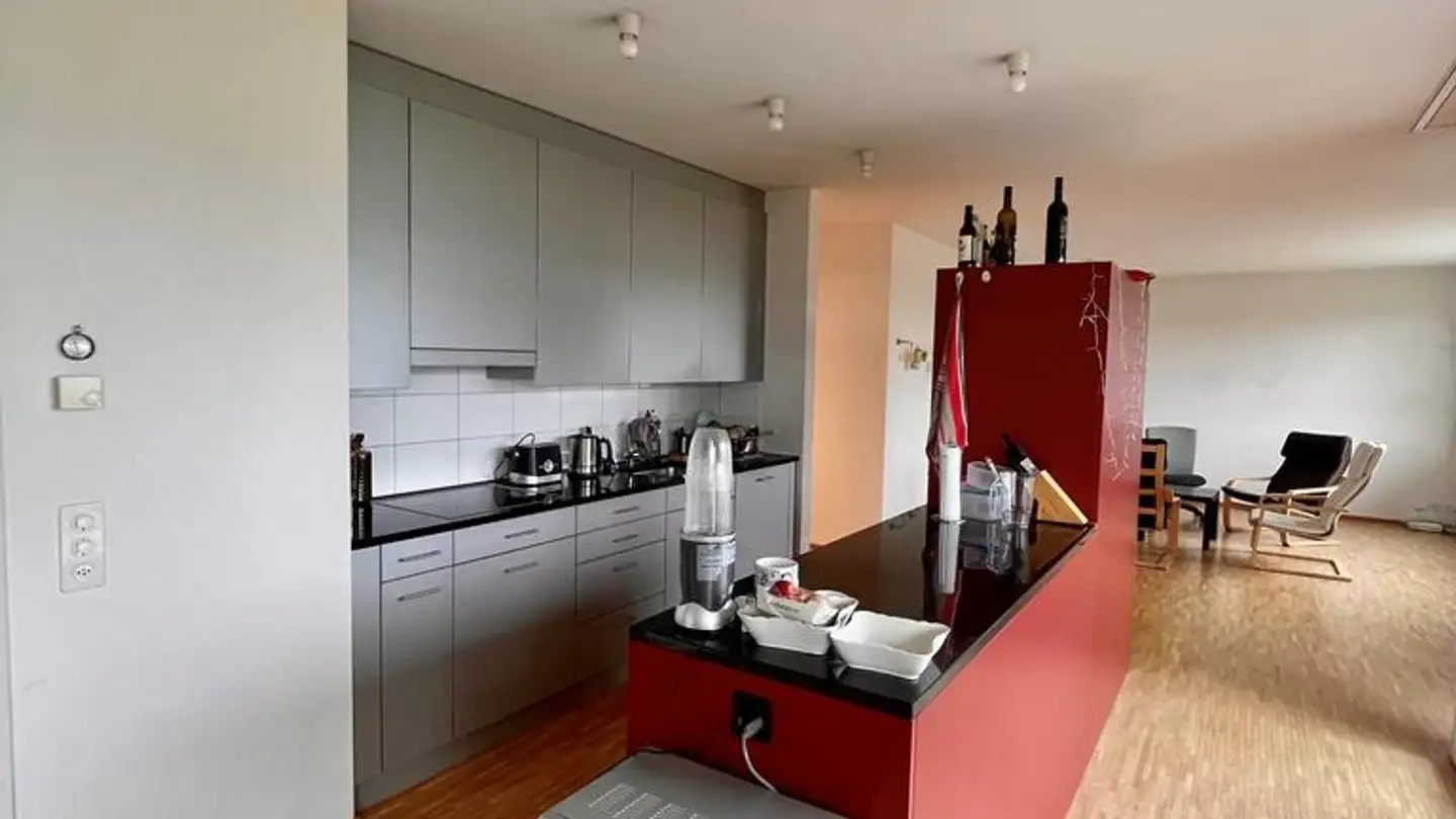 Duplex à louer - Hagenholzstrasse 98, 8050 Zürich - Photo 2