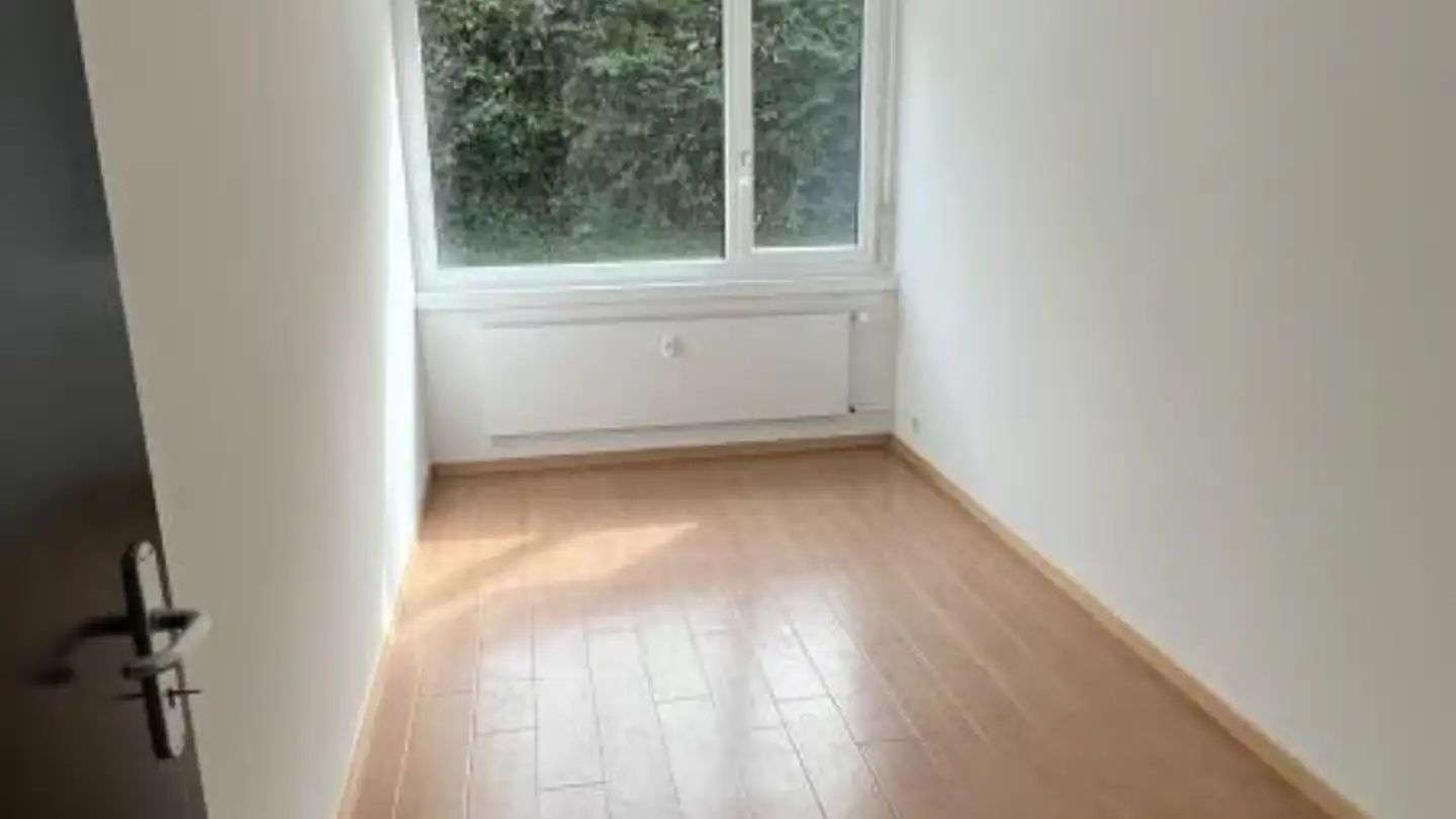 Appartamento in affitto - Röschenzstrasse 55, 4242 Laufen - Foto 4