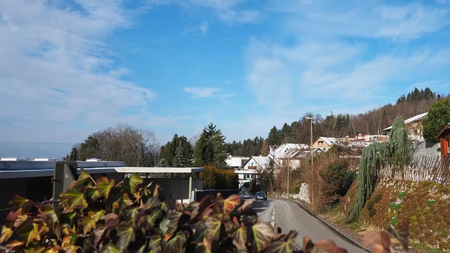 Duplex for sale - 8340 Hinwil