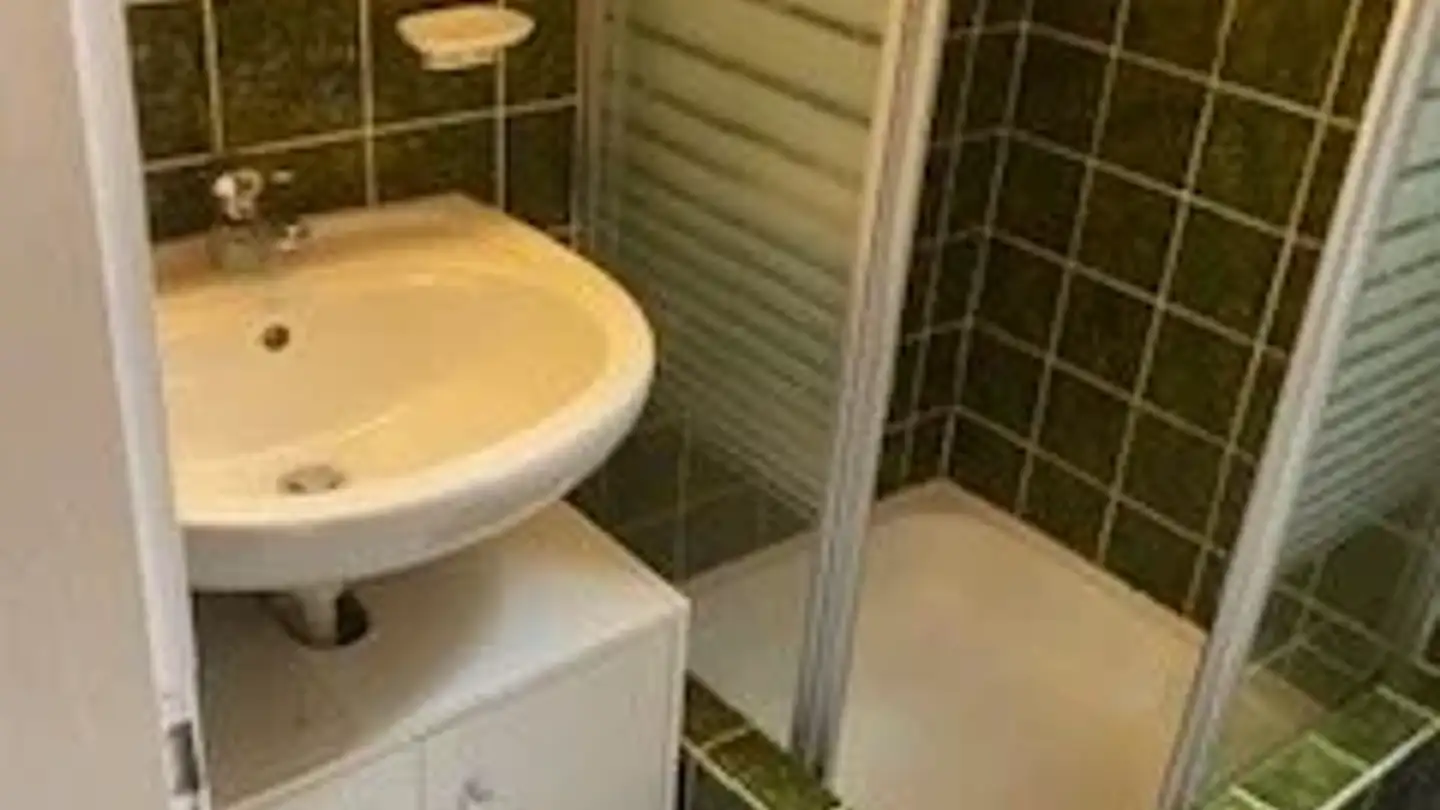 Appartamento in affitto - Oberrütistrasse 28, 9452 Hinterforst - Foto 3