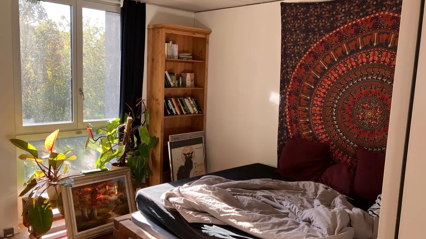 Chambre à louer - 8003 Zürich