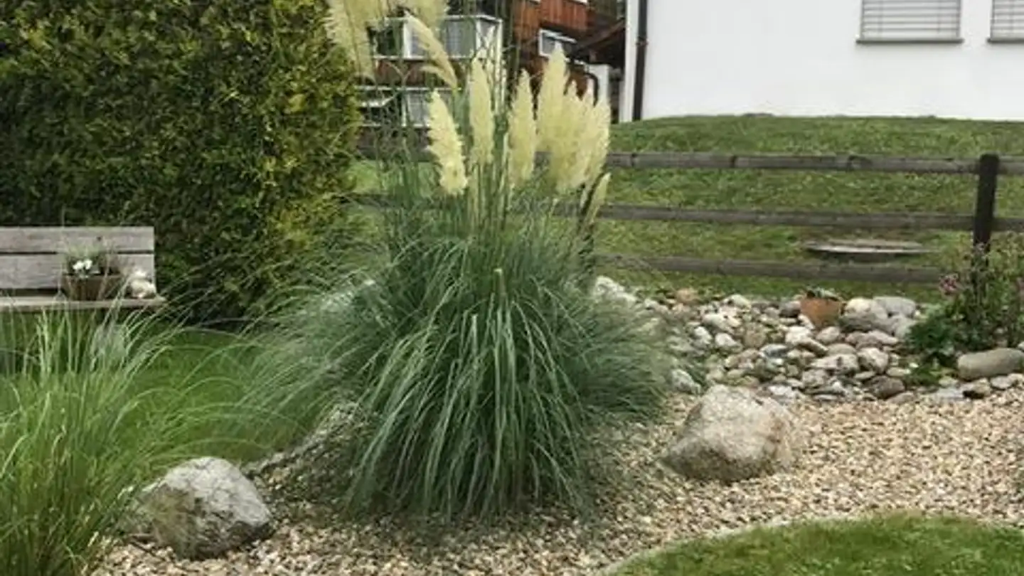 Apartment for sale - 7016 Trin Mulin - Photo 3