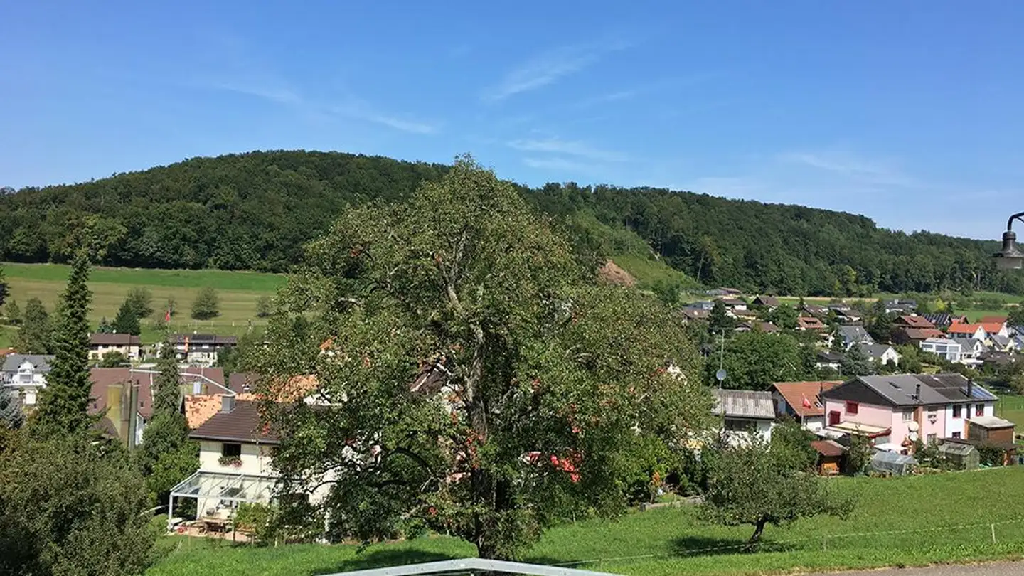 Single house for sale - 4422 Arisdorf