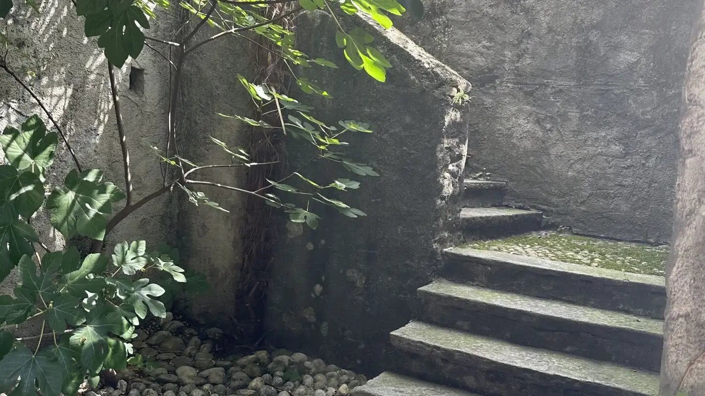 Villa for rent - Via San Gottardo, 6648 Minusio - Photo 3