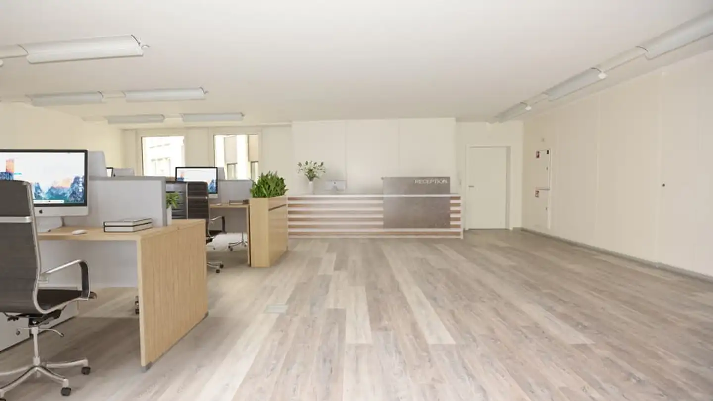 Gewerbe mieten - Rue Pépinet 3, 1003 Lausanne