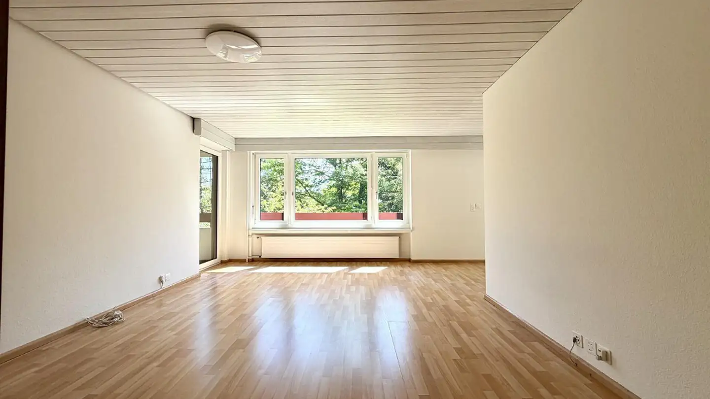 Appartamento in affitto - Thiersteinerstrasse 20, 4153 Reinach BL - Foto 2