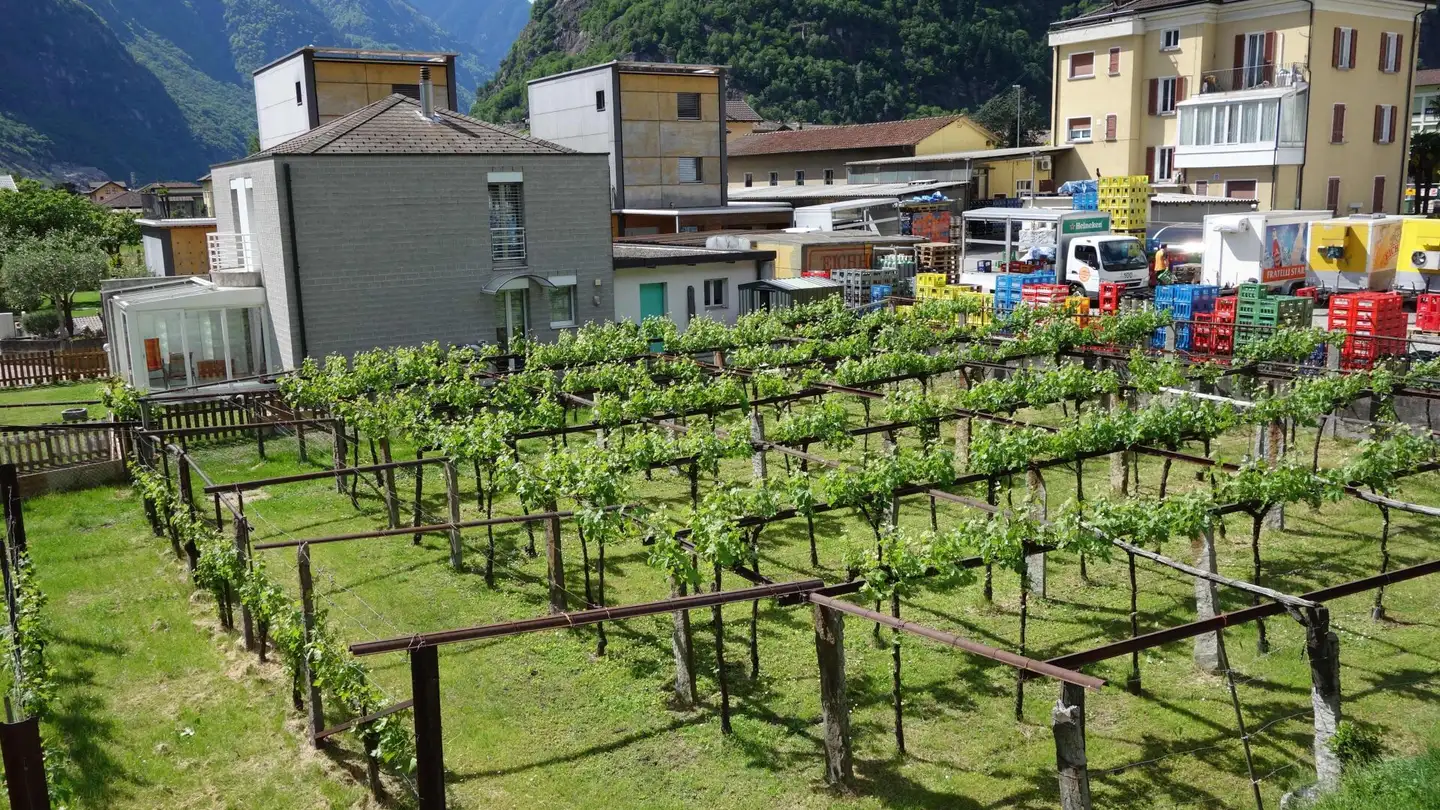 Bauland kaufen - Via Case Sulgoni, 6710 Biasca - Foto 3