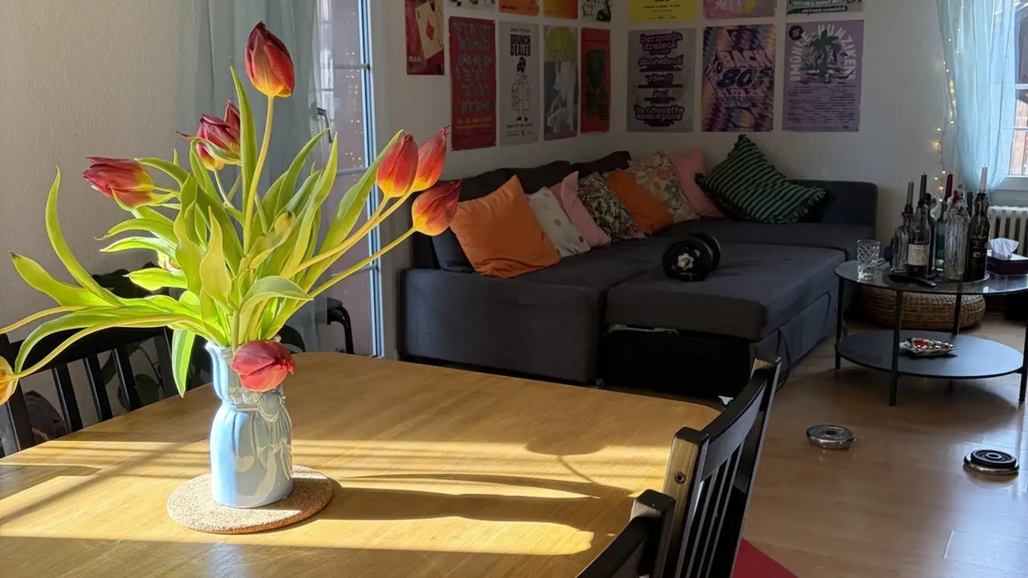 Stanza singola in affitto - Felsenaustrasse 28, 3004 Bern