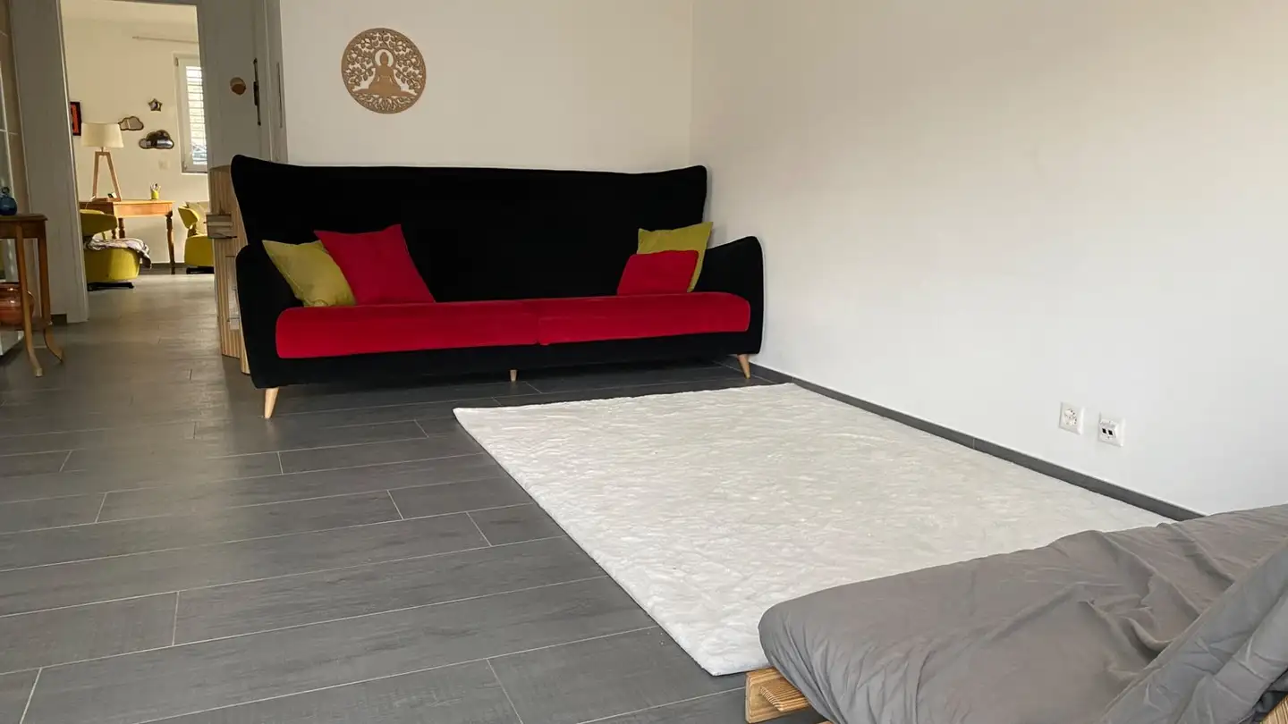 Stanza singola in affitto - Rue Du Luizo 2, 3966 Réchy - Foto 4