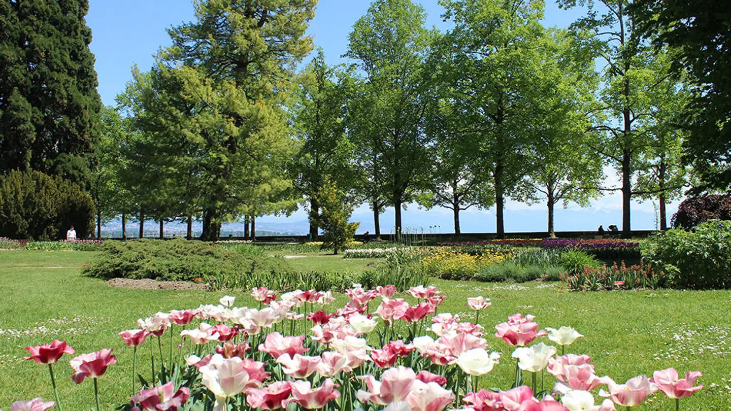 Apartment for sale - 1110 Morges