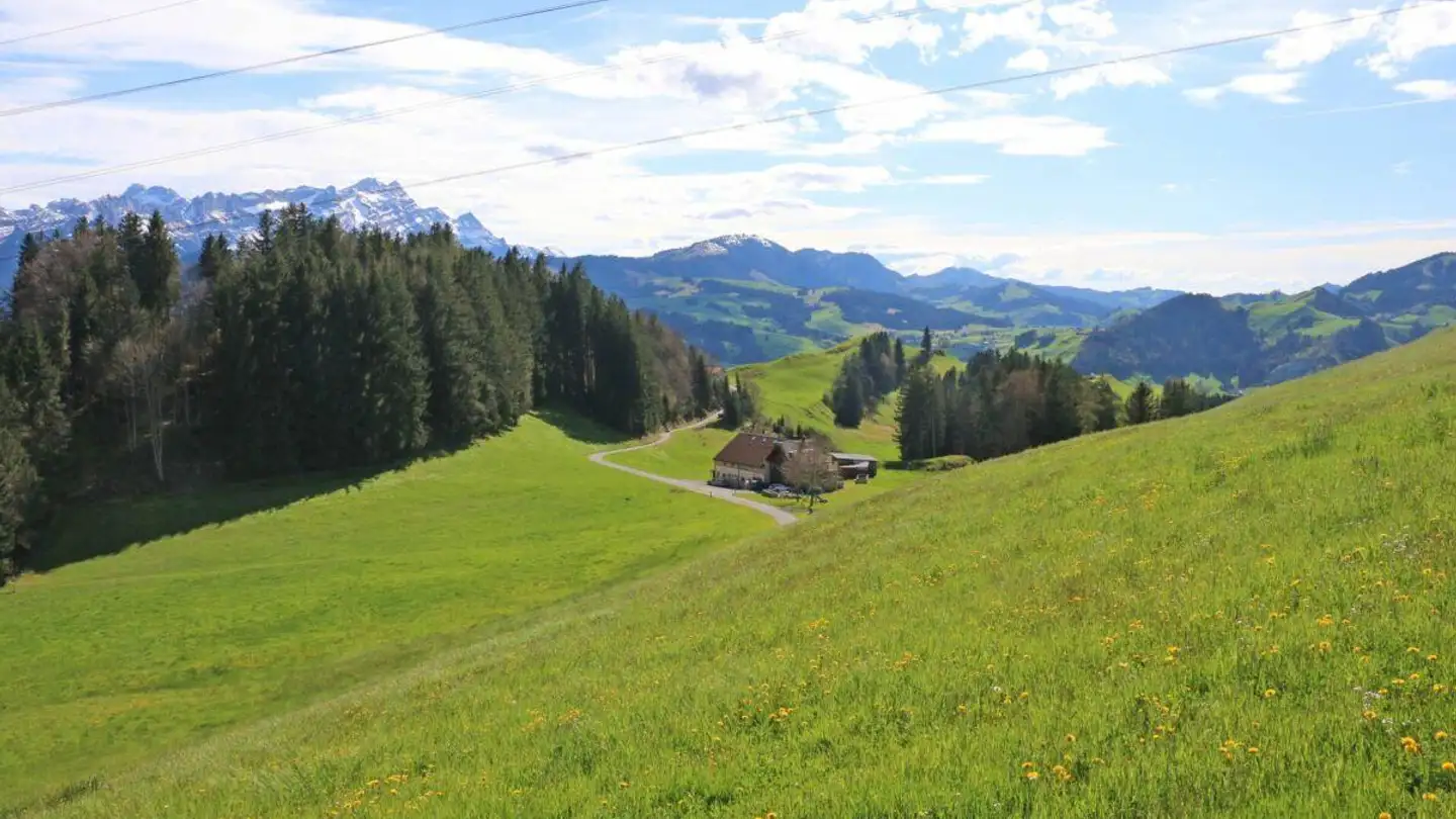 Bauland kaufen - 9050 Appenzell