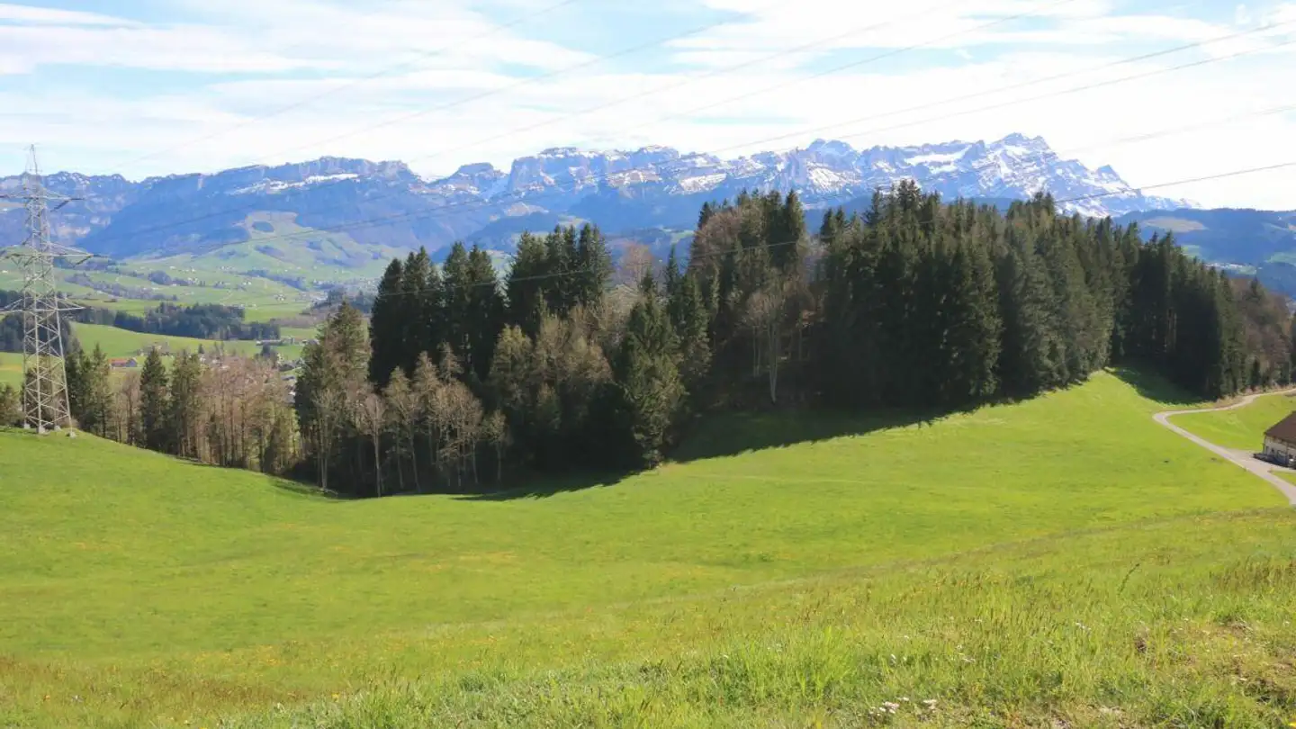 Bauland kaufen - 9050 Appenzell - Foto 2