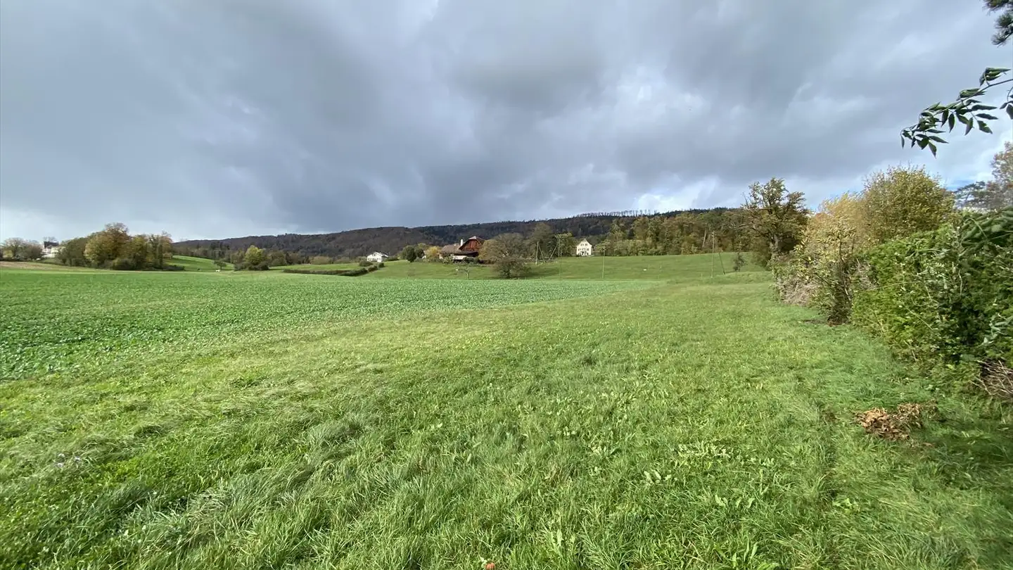 Terrain constructible à vendre - 2800 Delémont