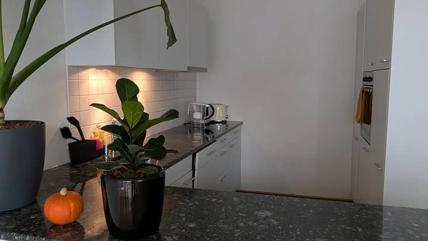 Single room for rent - Route De Beaumont, 1700 Fribourg - Photo 3