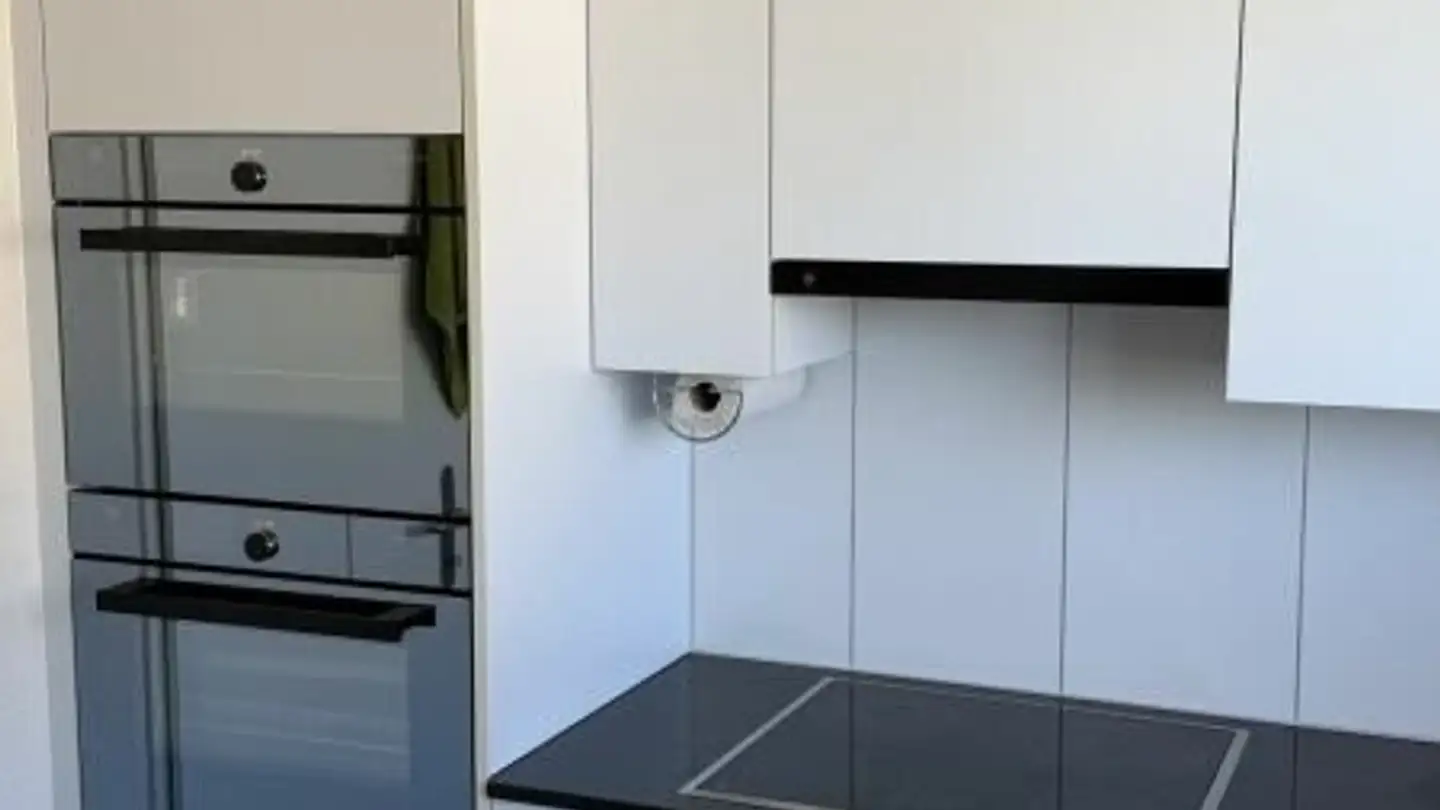 Appartement à louer - Uetliberghalde 5, 8045 Zürich - Photo 2