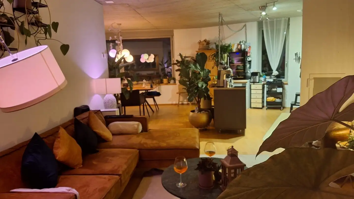 Chambre à louer - Am Wasser 3, 8600 Dübendorf