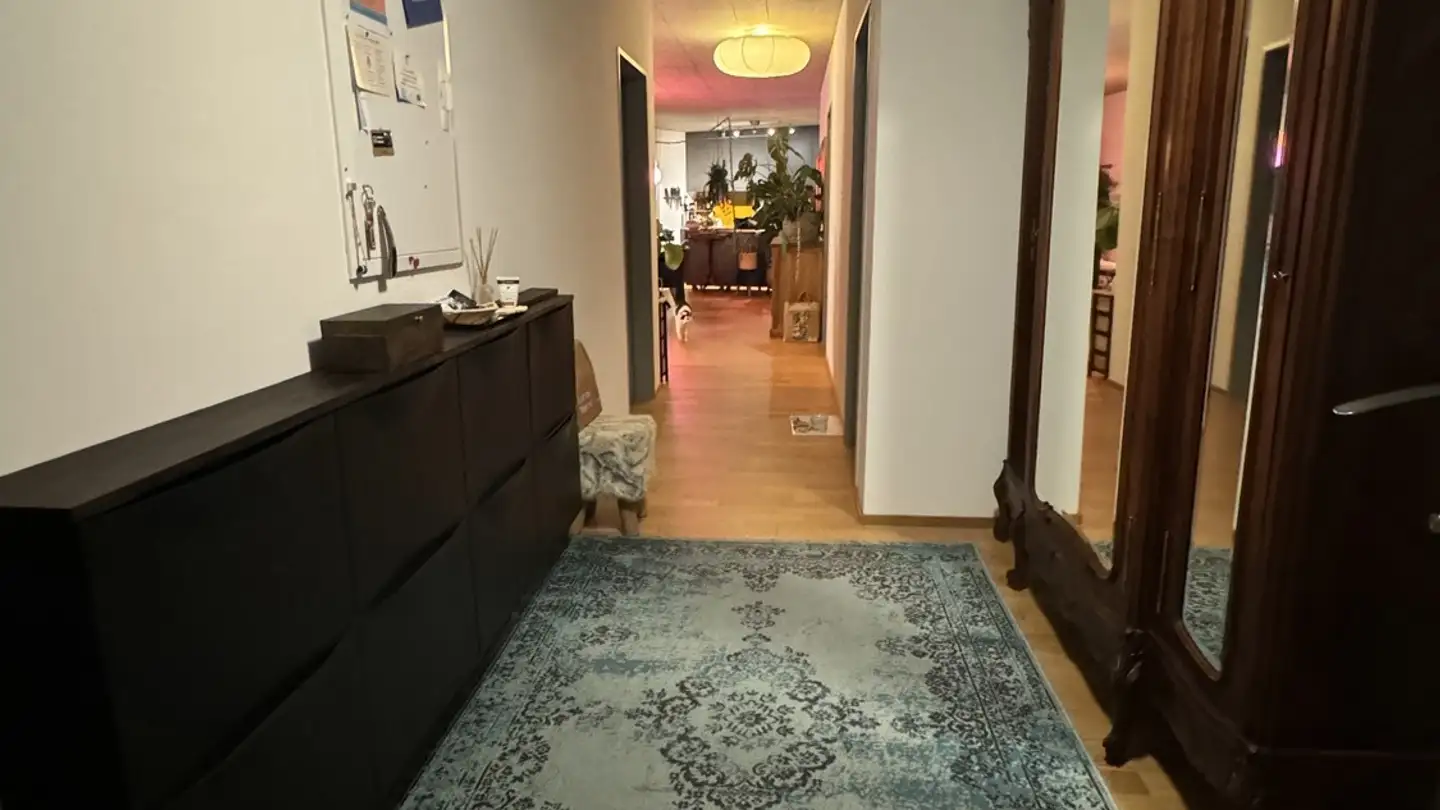 Chambre à louer - Am Wasser 3, 8600 Dübendorf - Photo 3