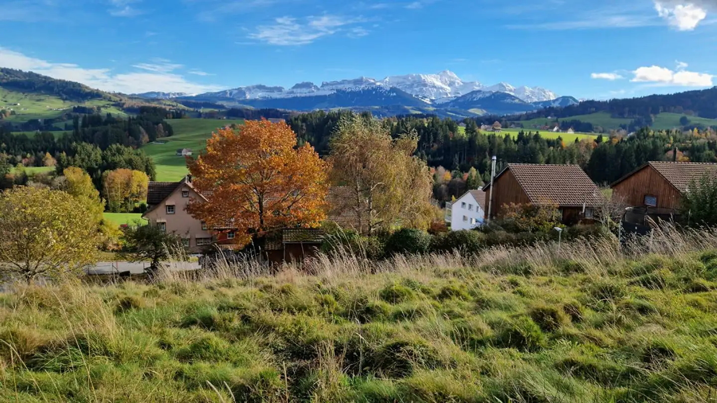 Terrain constructible à vendre - 9104 Waldstatt