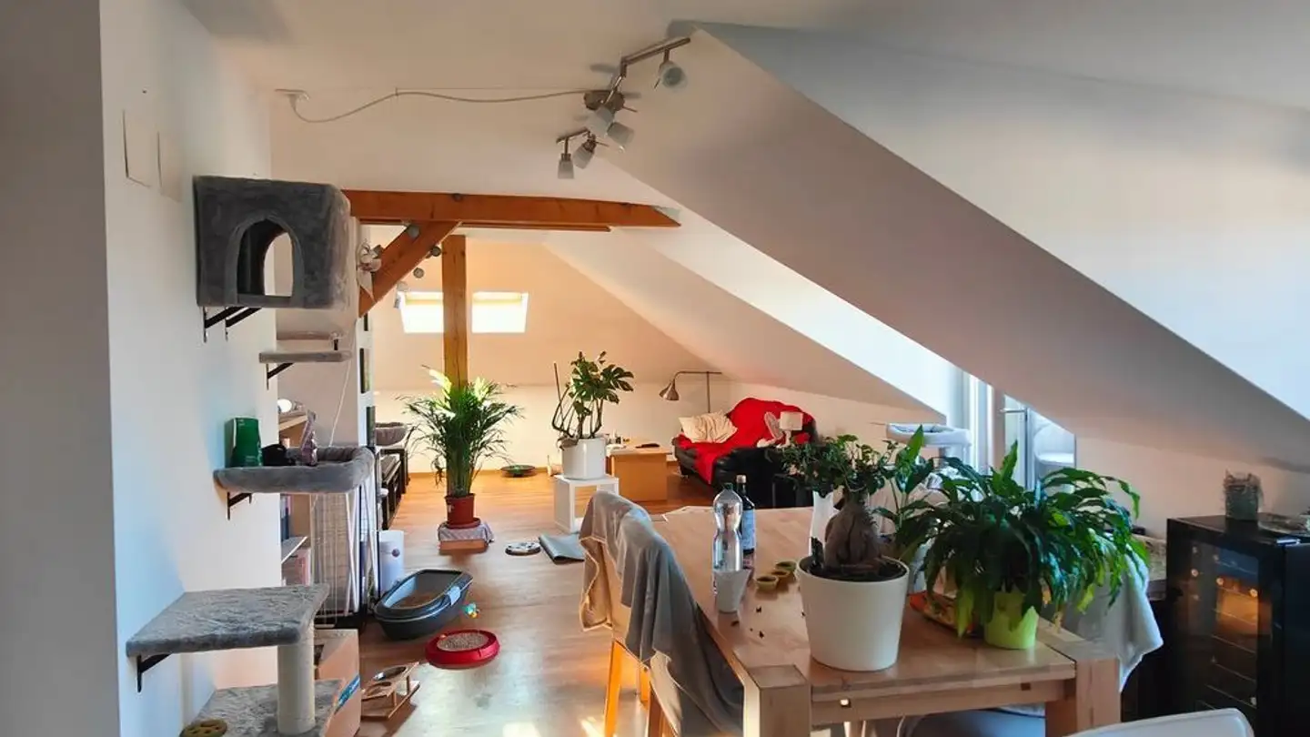Attic flat for rent - 3013 Bern