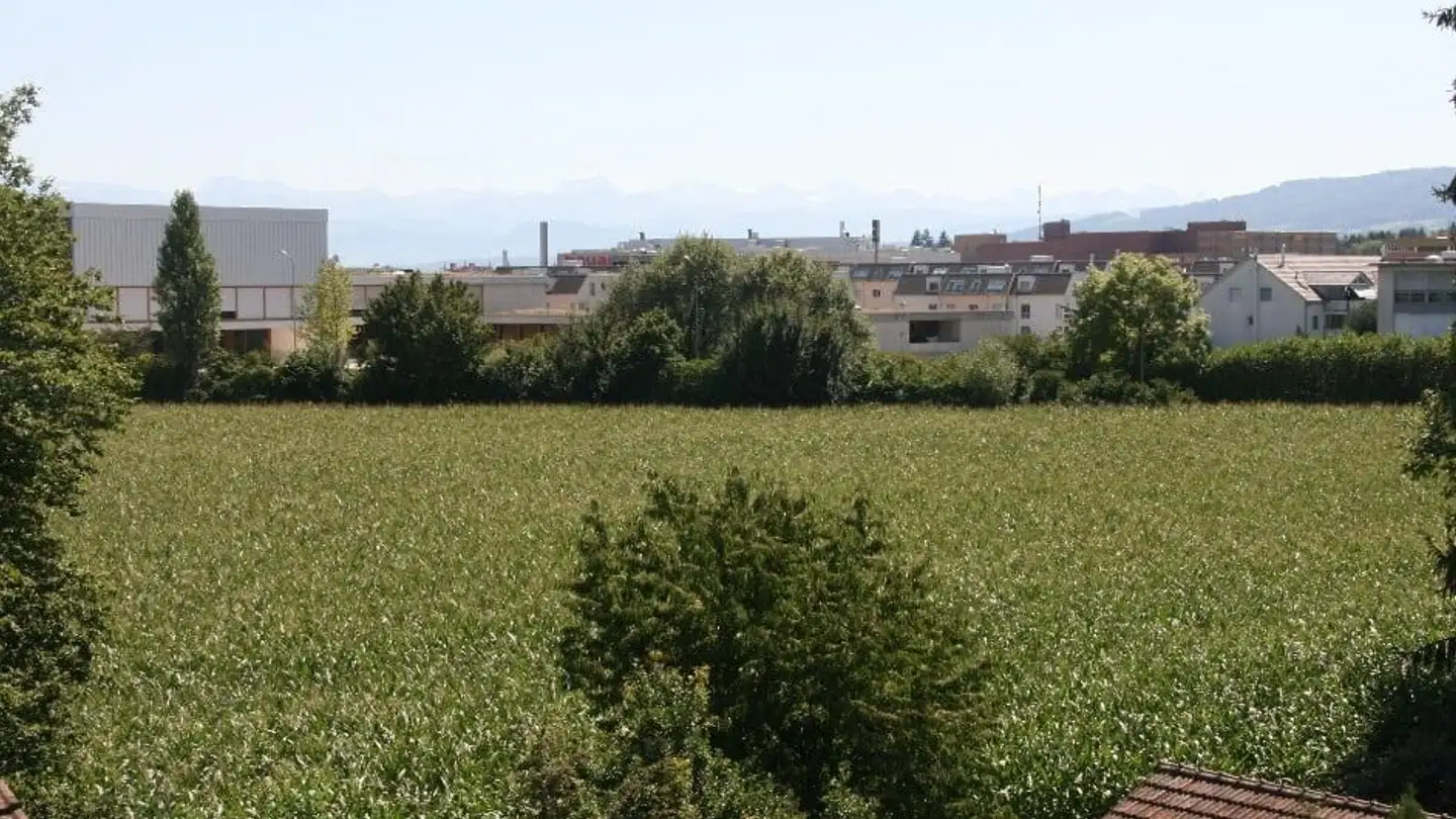 Duplex in affitto - Stationsstrasse 17, 8604 Volketswil - Foto 3