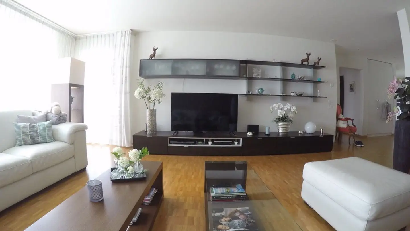 Apartment for rent - Im Rebacher 2a, 8118 Pfaffhausen - Photo 3