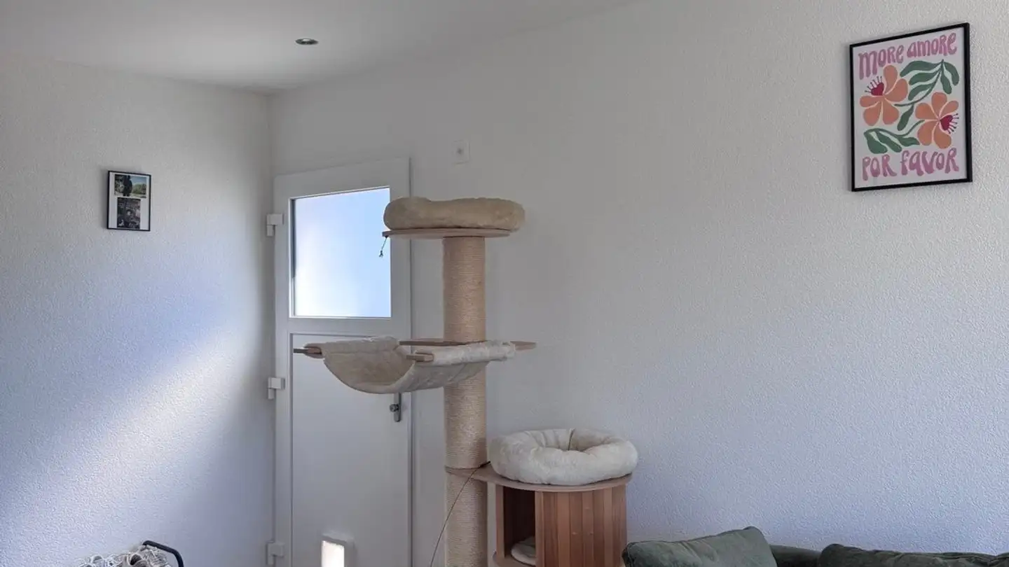 Wohnung mieten - 1694 Villargiroud