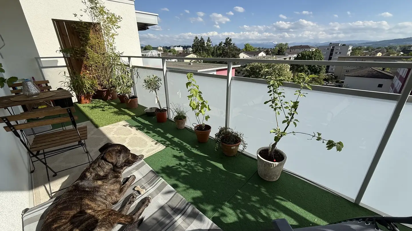 Wohnung mieten - 8610 Uster - Foto 4