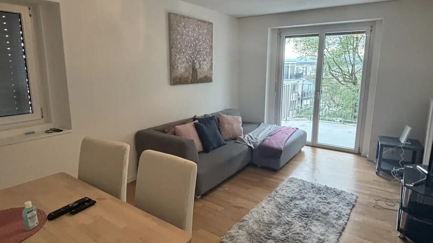 Furnished apartment for rent - 8052 Zürich