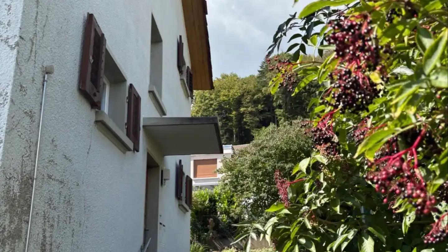 Einfamilienhaus mieten - Sägetstrasse 31, 4802 Strengelbach - Foto 3