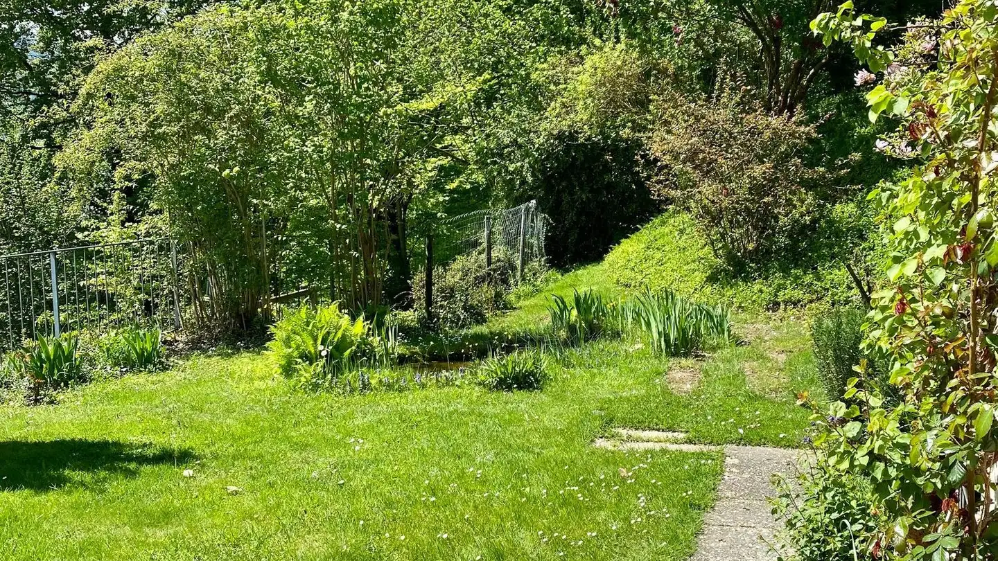 Studio for rent - Bergstrasse 41a, 6010 Kriens - Photo 4