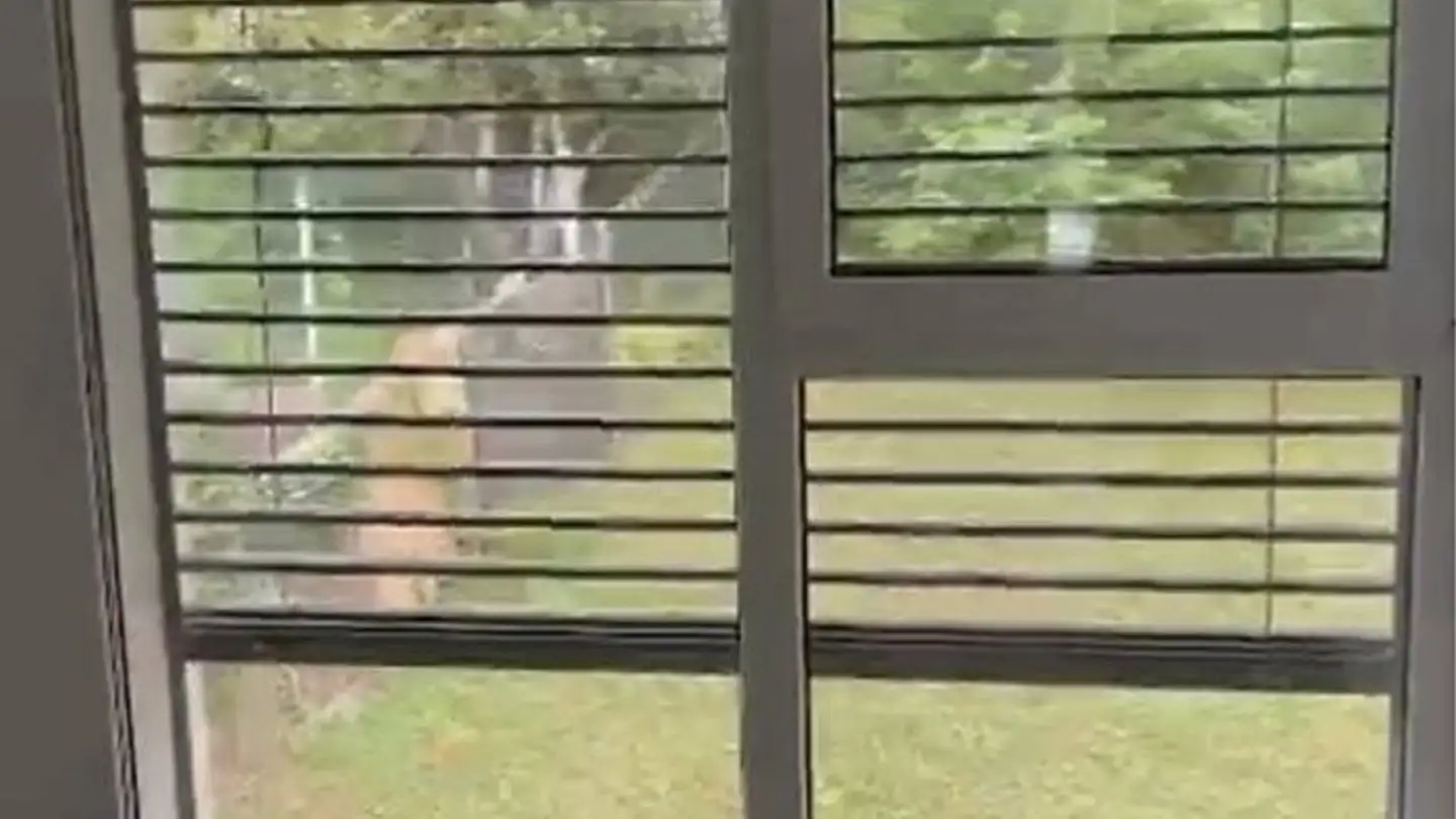 Apartment for rent - 6537 Grono - Photo 3