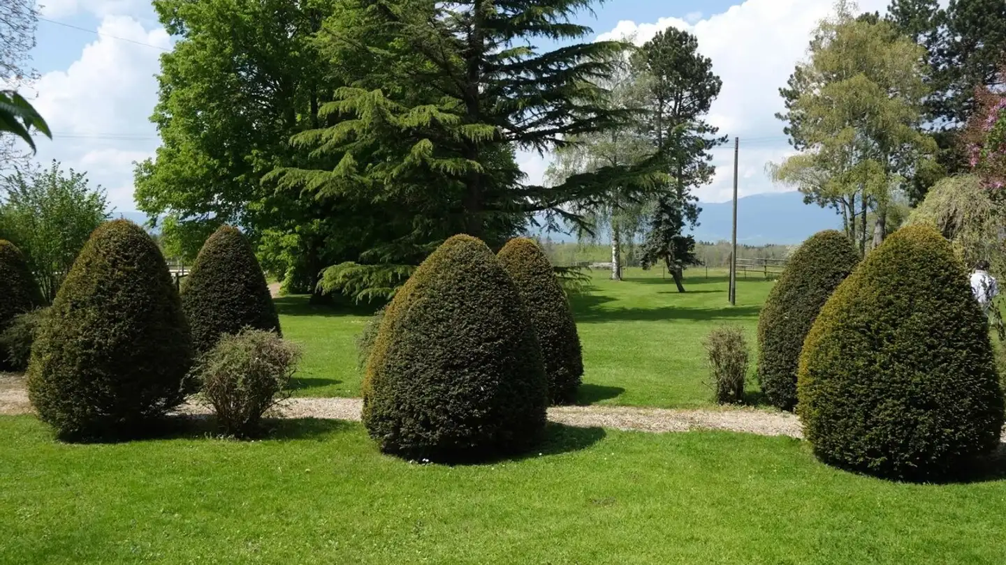 Terreno edificabile in vendita - 1418 Vuarrens - Foto 3