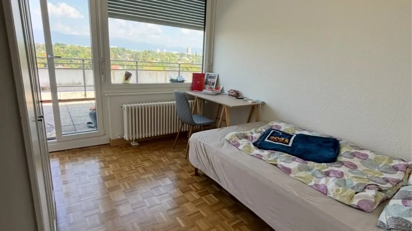 Single room for rent - Route Du Grand-Lancy, 1212 Grand-Lancy