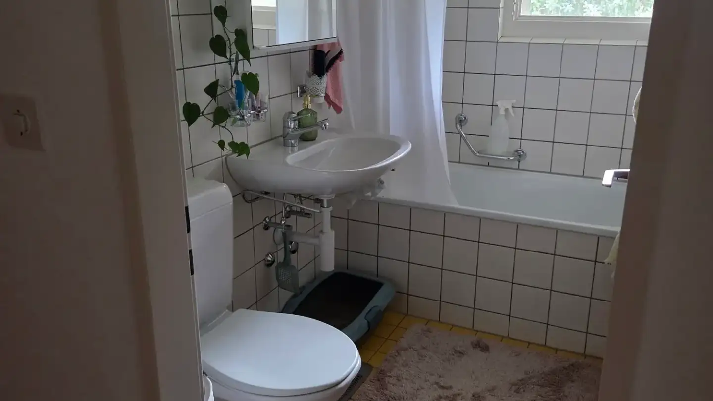 Appartement à louer - Weiherstrasse, 8580 Amriswil - Photo 2