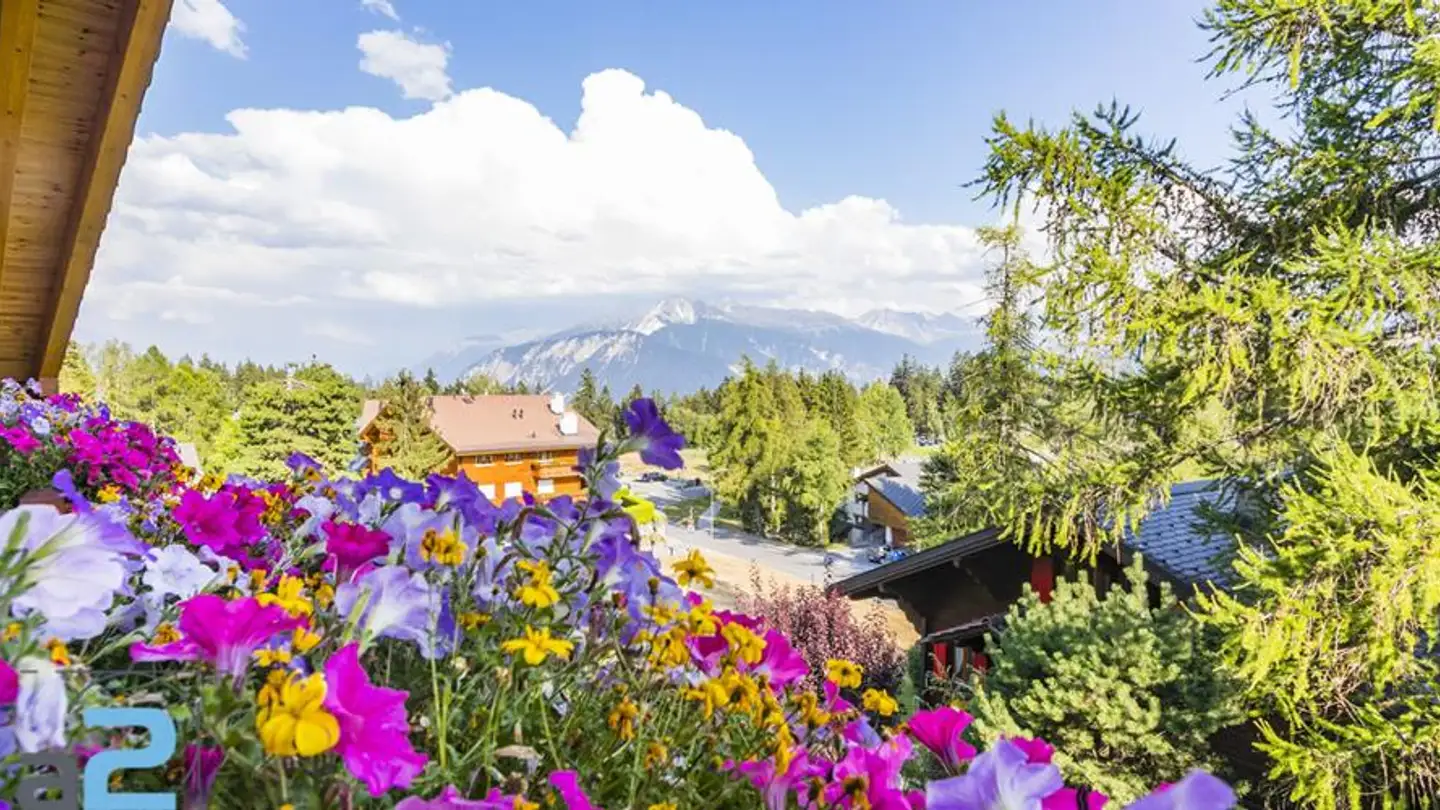 Wohnung mieten - Chemin Des Coccinelles 12, 3963 Crans-Montana