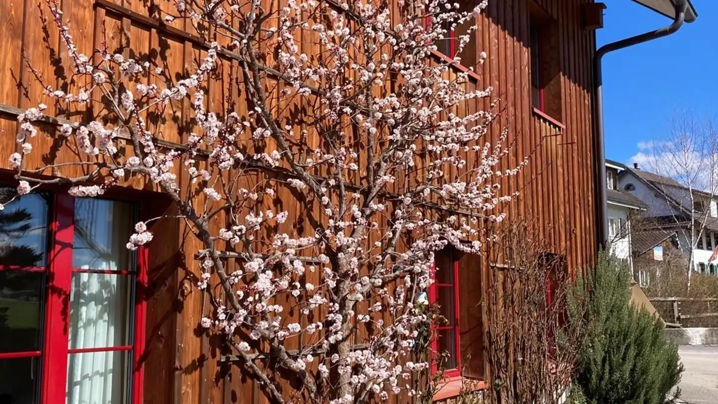 Einfamilienhaus mieten - Bungartstrasse 22, 8933 Maschwanden - Foto 4