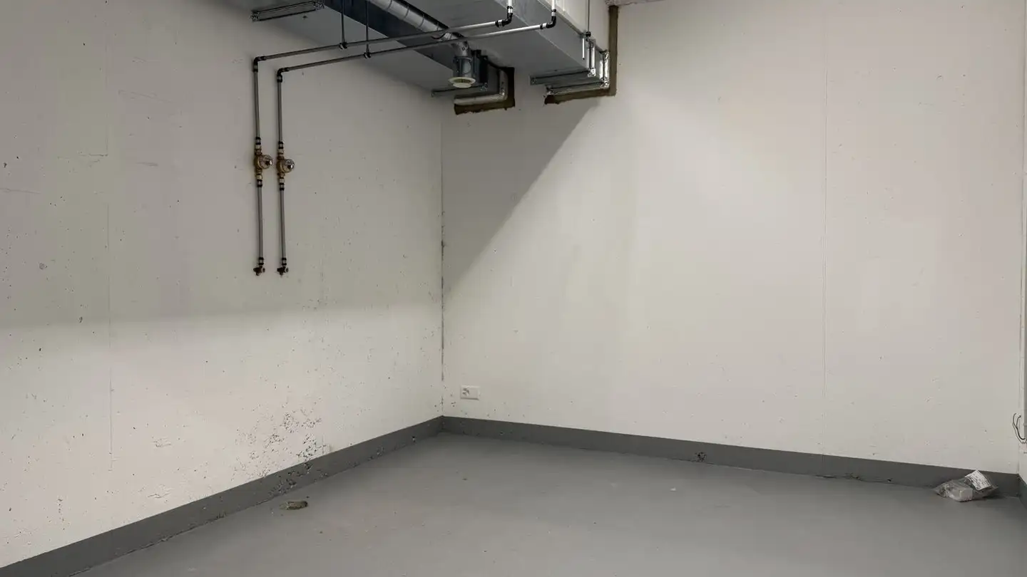 Storage space for rent - Ziegeleistrasse 6, 8254 Basadingen - Photo 4