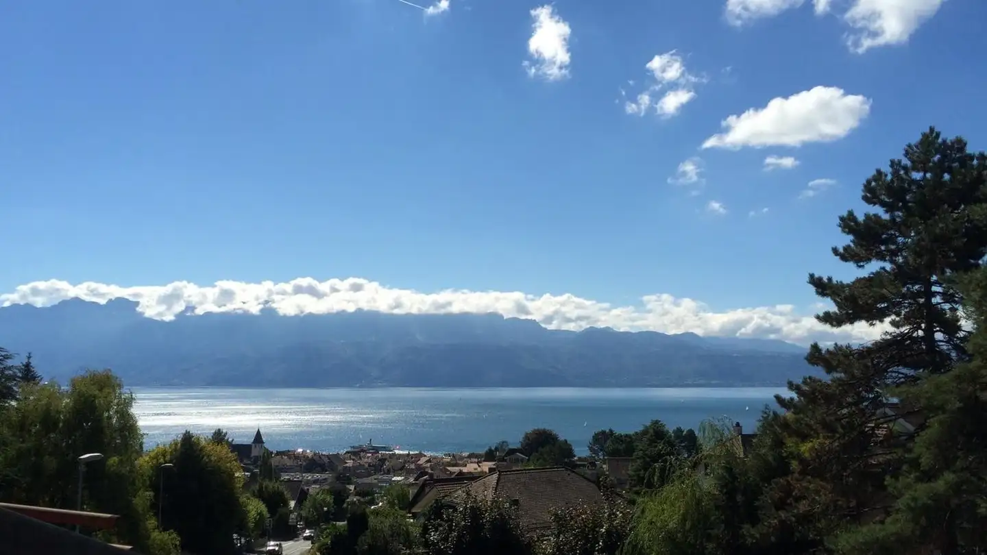 Attique à vendre - 1095 Lutry