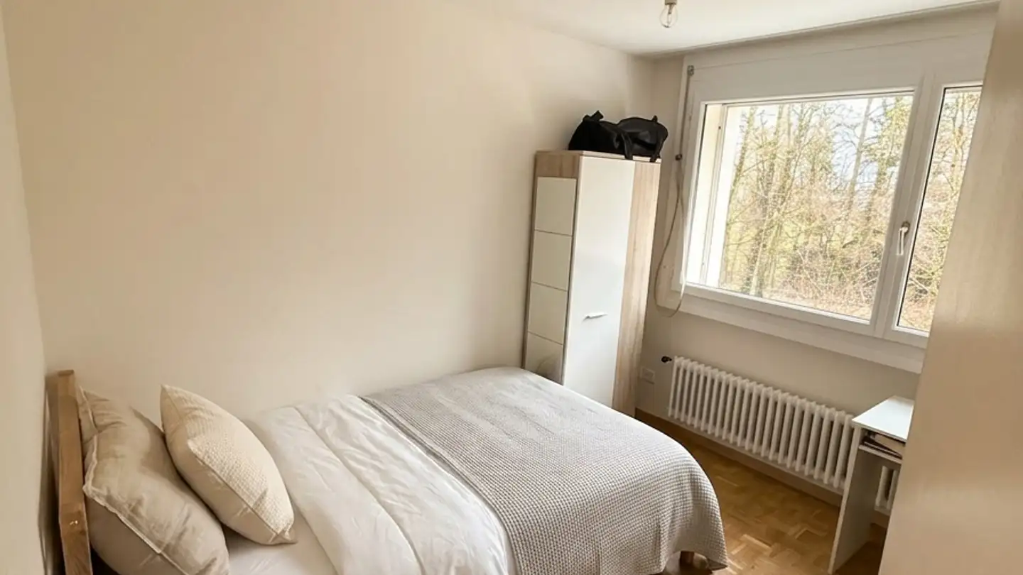 Chambre à louer - Kirchweg 79, 8102 Oberengstringen